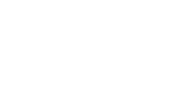 MegawattX Energy